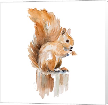 Framed Watercolor Squirrel Print