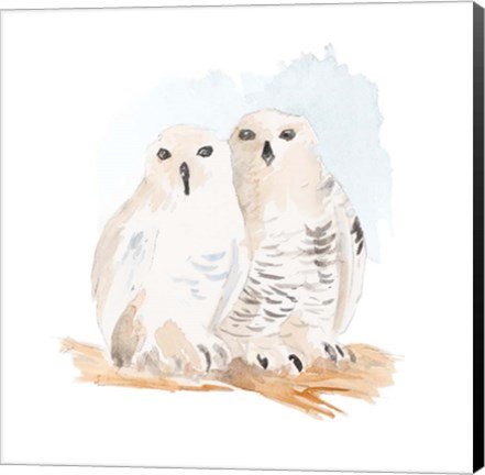 Framed Watercolor Snowy Owls Print