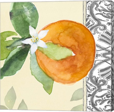 Framed Orange Blossoms I Print