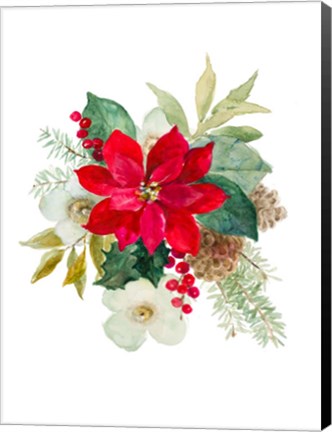 Framed Blooming Poinsettia II Print