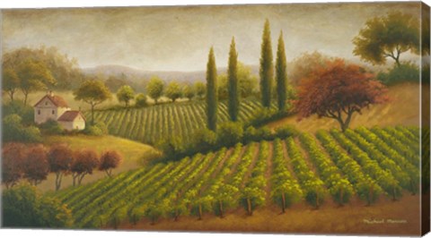 Framed Vineyard In The Sun I Print