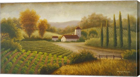 Framed Vineyard In The Sun II Print