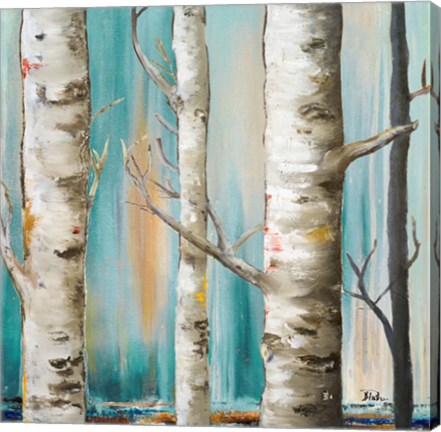 Framed Birch Forest I Print