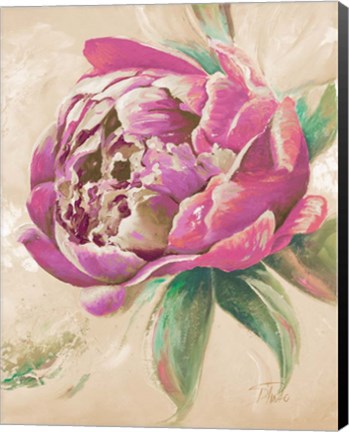 Framed Beautiful Bouquet of Peonies in Pink II Print