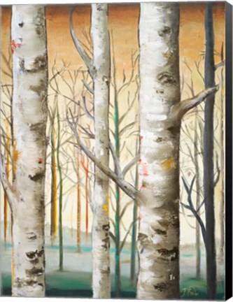 Framed Birch Forest I Print