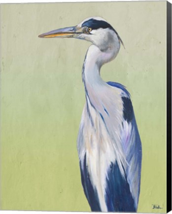 Framed Blue Heron on Green II Print