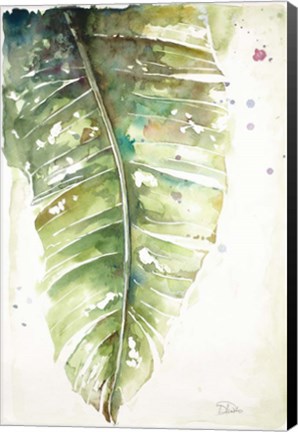 Framed Watercolor Plantain Leaves I Print