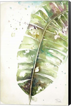 Framed Watercolor Plantain Leaves II Print