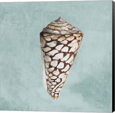 Framed Modern Shell on Teal II Print