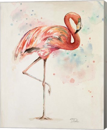 Framed Flamingo II Print