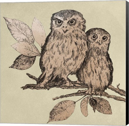 Framed Neutral Little Owls II Print