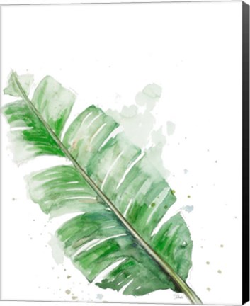 Framed Palm Frond III Print