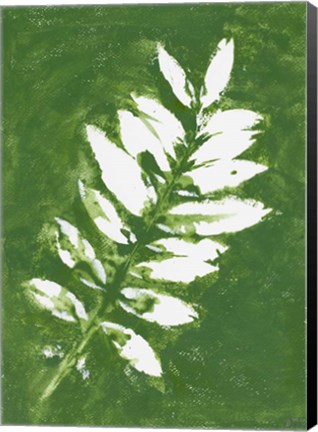 Framed Tropical Leaf Branch Stamp White Print