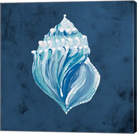 Framed Azul Dotted Seashell on Navy II Print