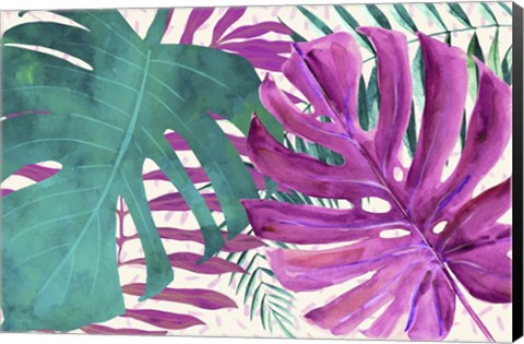 Framed Rainforest Canopy II Print