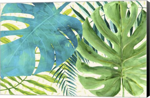 Framed Rainforest Canopy Print