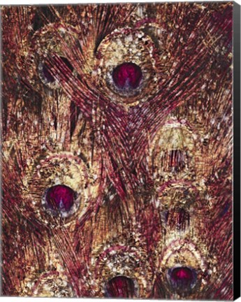 Framed Golden Ruby Peacock Feathers Print