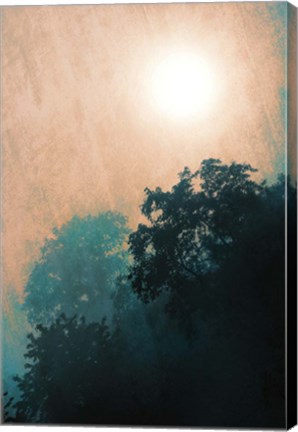 Framed Jungle Canopy At Sunset Print