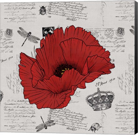 Framed Vintage Ephemera Large Poppy Print