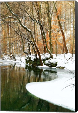 Framed Serene Creek Print