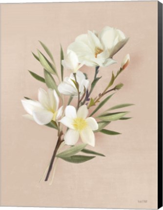 Framed Spring Magnolias Print