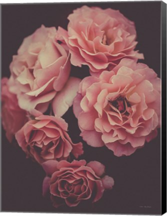 Framed Dreamy Roses Print