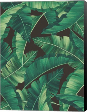 Framed Tropical Leaves II Print