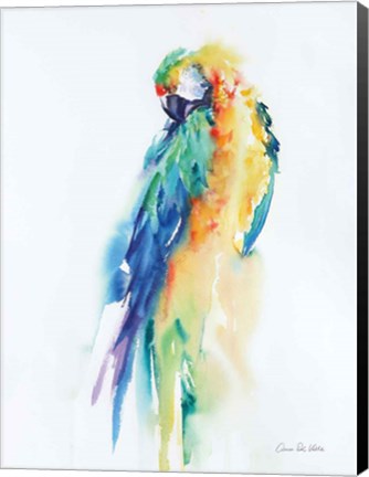 Framed Colorful Parrots II Print