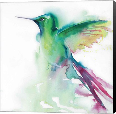 Framed Hummingbirds III Print