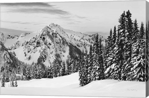 Framed Tatoosh Range BW Print