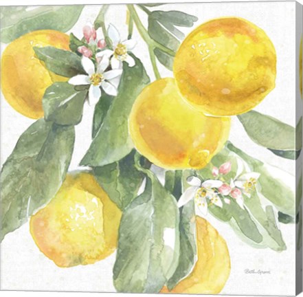 Framed Citrus Charm Lemons II Print