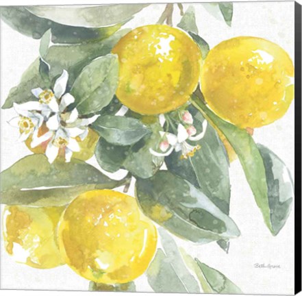 Framed Citrus Charm Lemons I Print