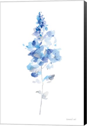 Framed Flower Study I Print