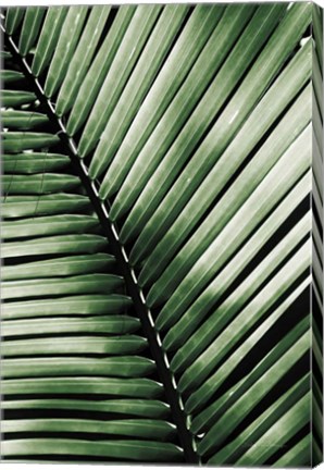 Framed Palm Frond I Green Print