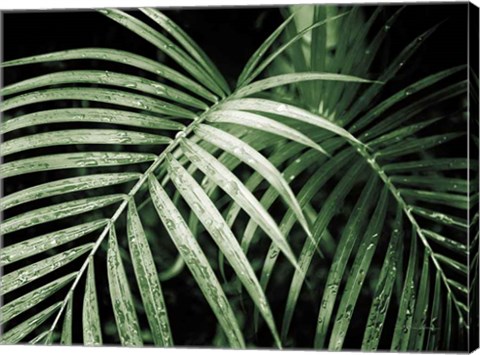 Framed Palm Fronds Green Print