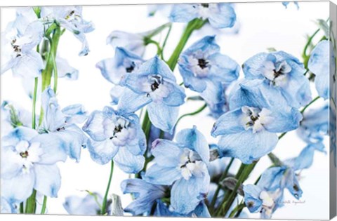 Framed Freshly Picked Delphinium I Print