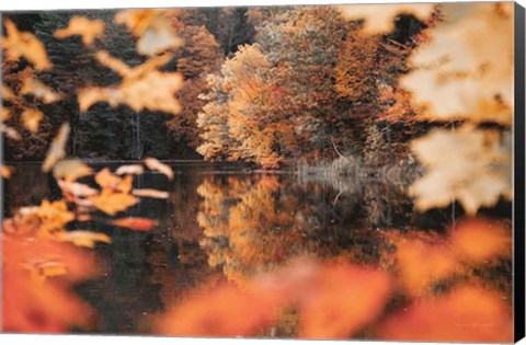 Framed Autumn Reflections Print