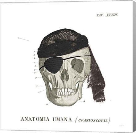 Framed Dandy Bones VI Pirate Print
