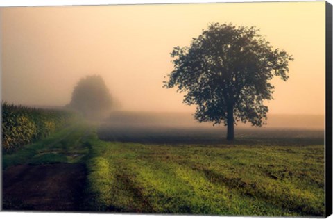 Framed Morning Mist Print