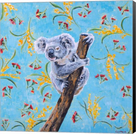 Framed Koala Print