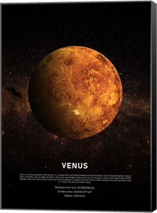 Framed Venus Print