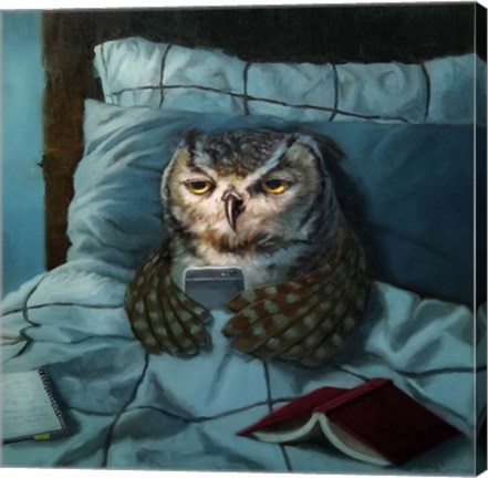 Framed Night Owl Print