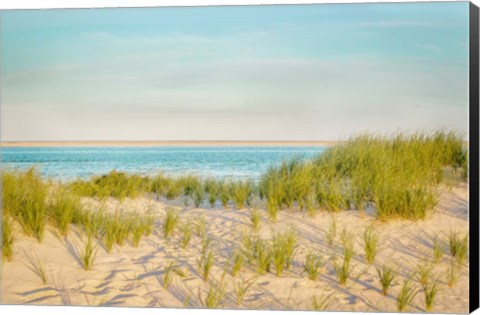 Framed Monomoy View Print