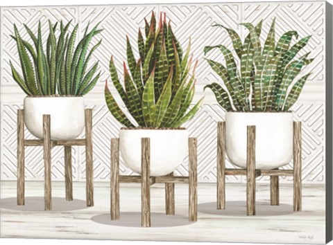 Framed Succulent Trio on Stands Print