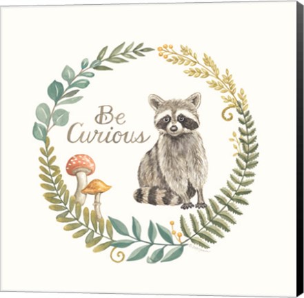 Framed Be Curious Raccoon Print