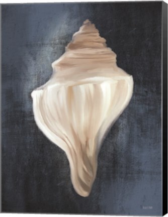 Framed Conch Shell Blues I Print