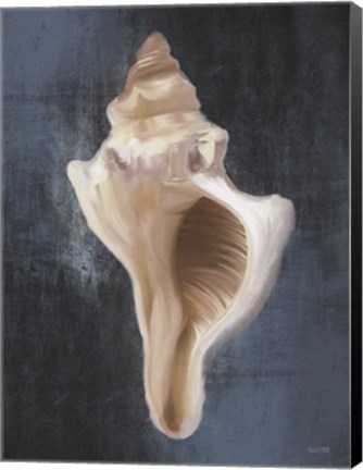 Framed Conch Shell Blues II Print