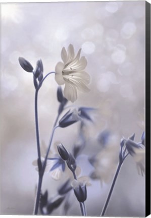 Framed Blue &amp; White Flowers II Print