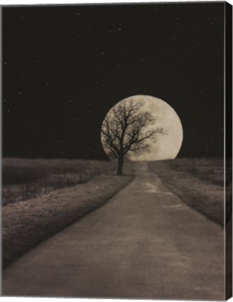 Framed Moonlit Country Road Print