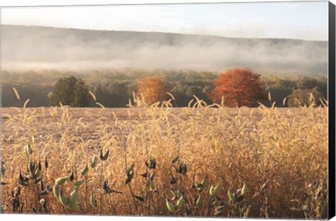 Framed Autumn Shades Print